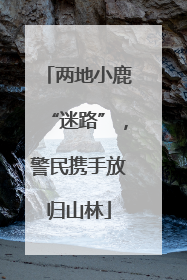 两地小鹿“迷路”，警民携手放归山林