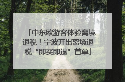 中东欧游客体验离境退税！宁波开出离境退税“即买即退”首单