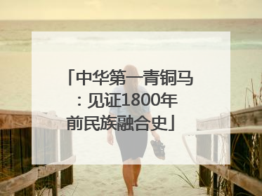 中华第一青铜马：见证1800年前民族融合史