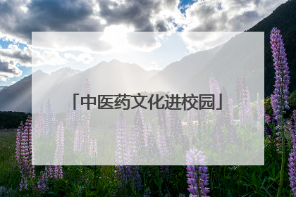 中医药文化进校园