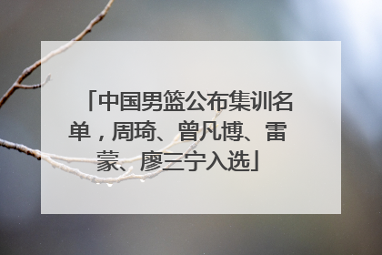 中国男篮公布集训名单，周琦、曾凡博、雷蒙、廖三宁入选