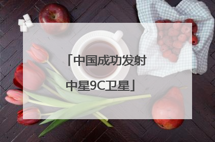 中国成功发射中星9C卫星