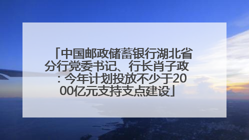 中国邮政储蓄银行湖北省分行党委书记、行长肖子政：今年计划投放不少于2000亿元支持支点建设