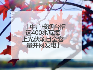 中广核烟台招远400兆瓦海上光伏项目全容量并网发电