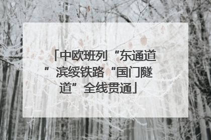 中欧班列“东通道”滨绥铁路“国门隧道”全线贯通