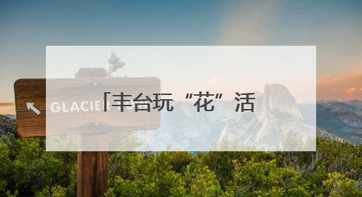 丰台玩“花”活 花街夜市百万片玫瑰花瓣雨甜翻北京城