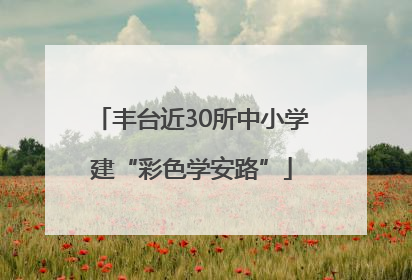 丰台近30所中小学建“彩色学安路”