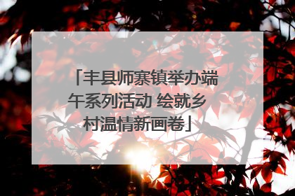 丰县师寨镇举办端午系列活动 绘就乡村温情新画卷