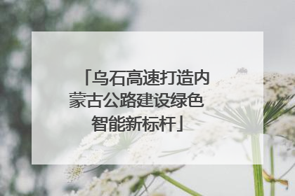 乌石高速打造内蒙古公路建设绿色智能新标杆