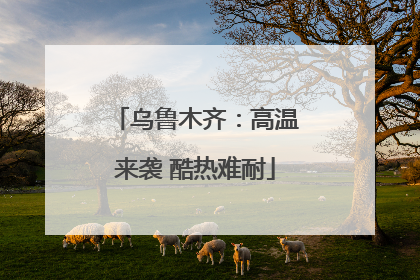 乌鲁木齐：高温来袭 酷热难耐