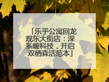 乐乎公寓回龙观东大街店：深系暖科技，开启双栖森活范本