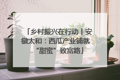 乡村振兴在行动丨安徽太和：西瓜产业铺就“甜蜜”致富路