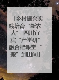 乡村振兴实践培育“新农人” 四川宜宾“产学研”融合把课堂“搬”到田间