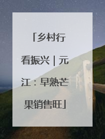 乡村行 看振兴｜元江：早熟芒果销售旺