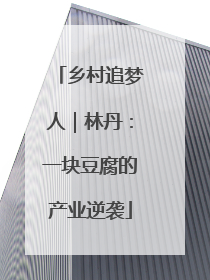 乡村追梦人｜林丹：一块豆腐的产业逆袭