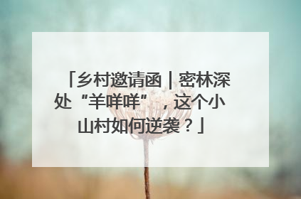 乡村邀请函｜密林深处“羊咩咩”，这个小山村如何逆袭？