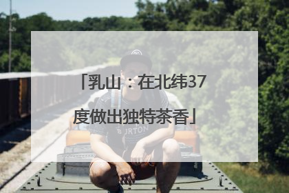乳山：在北纬37度做出独特茶香