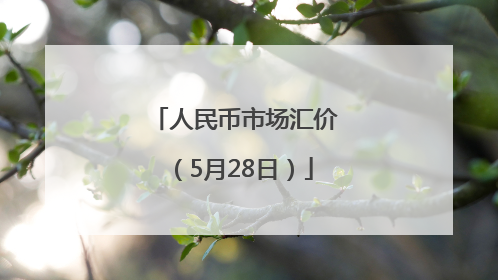 人民币市场汇价（5月28日）