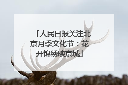 人民日报关注北京月季文化节：花开锦绣映京城