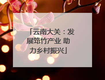 云南大关：发展筇竹产业 助力乡村振兴