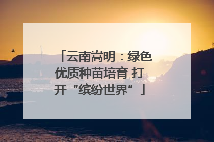 云南嵩明：绿色优质种苗培育 打开“缤纷世界”