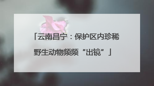 云南昌宁：保护区内珍稀野生动物频频“出镜”