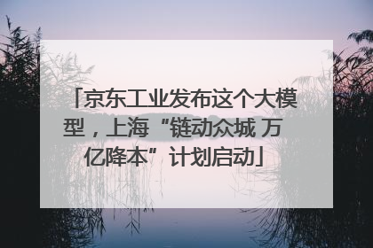 京东工业发布这个大模型，上海“链动众城 万亿降本”计划启动