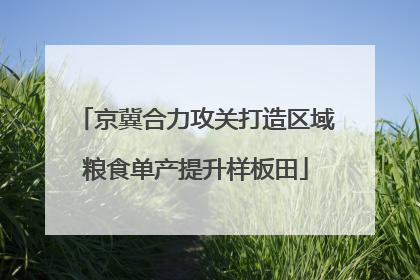 京冀合力攻关打造区域粮食单产提升样板田