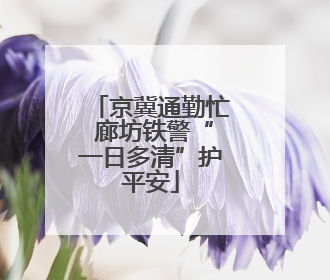 京冀通勤忙 廊坊铁警“一日多清”护平安