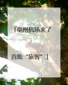 亳州机场来了首批“旅客”