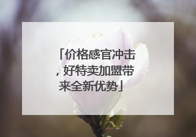 价格感官冲击，好特卖加盟带来全新优势