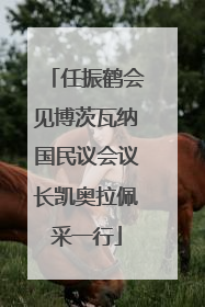 任振鹤会见博茨瓦纳国民议会议长凯奥拉佩采一行
