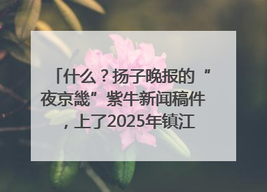 什么？扬子晚报的“夜京畿”紫牛新闻稿件，上了2025年镇江中考模拟卷！