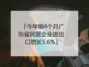 今年前4个月广东省民营企业进出口增长5.6%