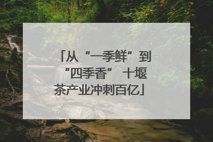 从“一季鲜”到“四季香” 十堰茶产业冲刺百亿