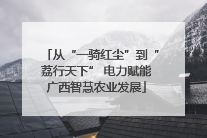 从“一骑红尘”到“荔行天下” 电力赋能广西智慧农业发展