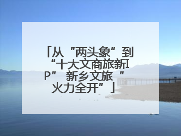 从“两头象”到“十大文商旅新IP” 新乡文旅“火力全开”
