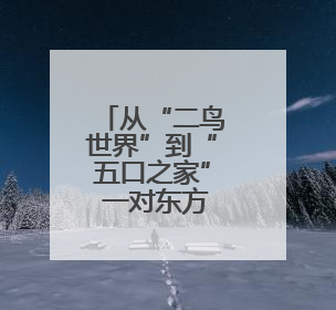 从“二鸟世界”到“五口之家” 一对东方白鹳的黄河口之恋