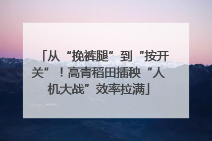 从“挽裤腿”到“按开关”！高青稻田插秧“人机大战”效率拉满