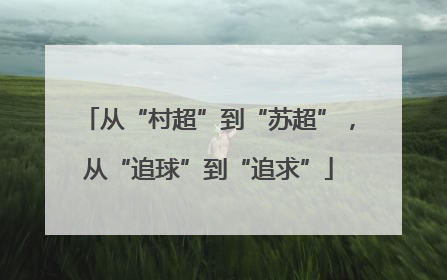 从“村超”到“苏超”，从“追球”到“追求”
