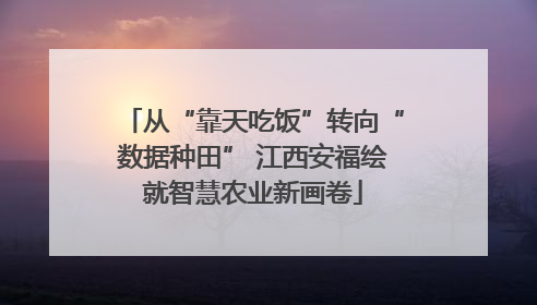 从“靠天吃饭”转向“数据种田” 江西安福绘就智慧农业新画卷