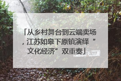 从乡村舞台到云端卖场，江苏如皋下原镇演绎“文化经济”双重奏