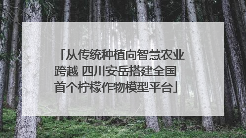 从传统种植向智慧农业跨越 四川安岳搭建全国首个柠檬作物模型平台