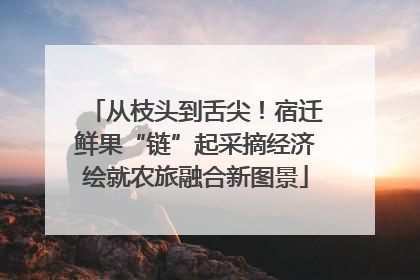 从枝头到舌尖！宿迁鲜果“链”起采摘经济绘就农旅融合新图景