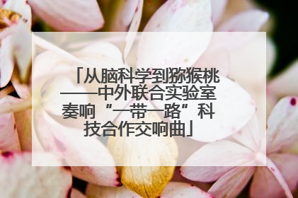 从脑科学到猕猴桃——中外联合实验室奏响“一带一路”科技合作交响曲