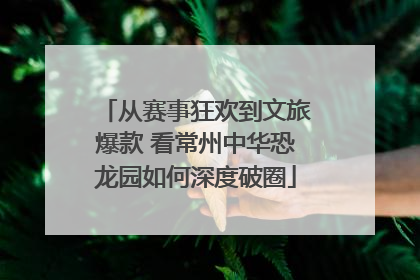 从赛事狂欢到文旅爆款 看常州中华恐龙园如何深度破圈
