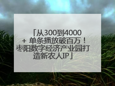 从300到4000+ 单条播放破百万！枣阳数字经济产业园打造新农人IP