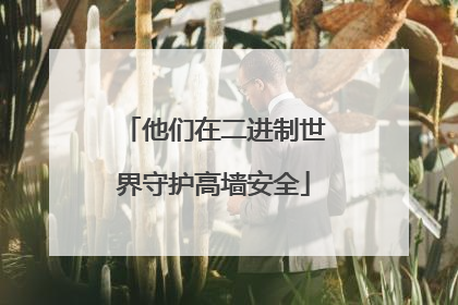 他们在二进制世界守护高墙安全
