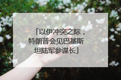 以伊冲突之际，特朗普会见巴基斯坦陆军参谋长