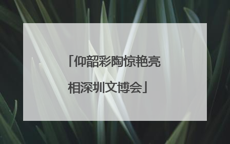 仰韶彩陶惊艳亮相深圳文博会